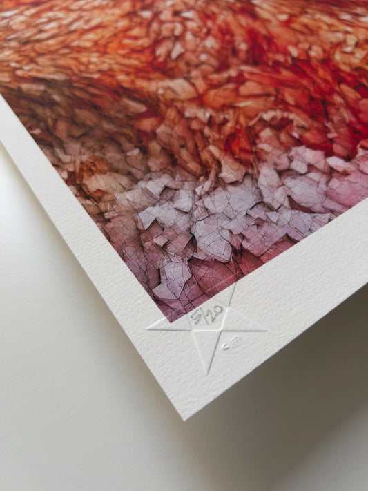 A close up detail of the hand-written limited edition number in the lower left corner of the print.