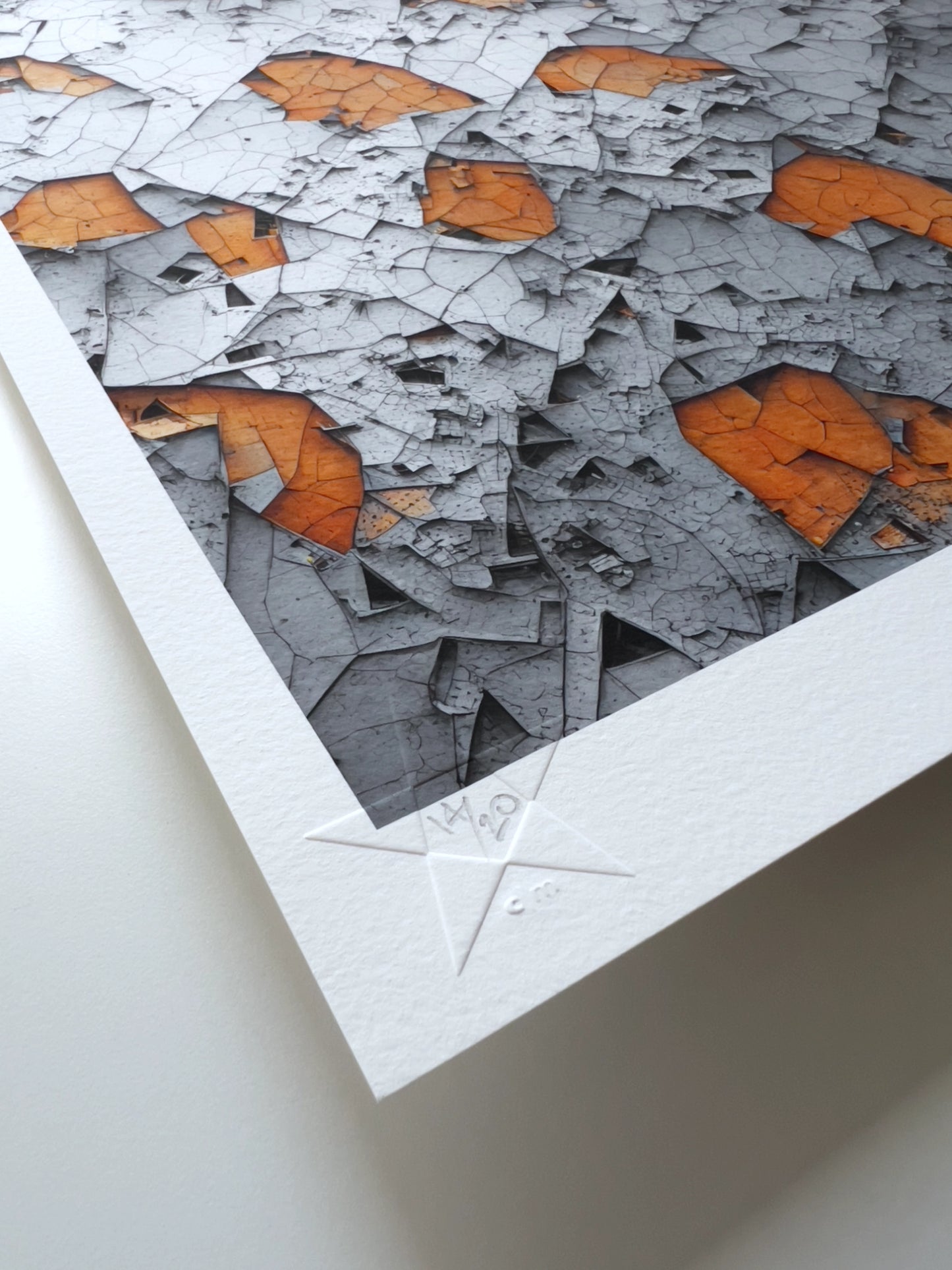 A close up detail of the hand-written limited edition number in the lower left corner of the print.