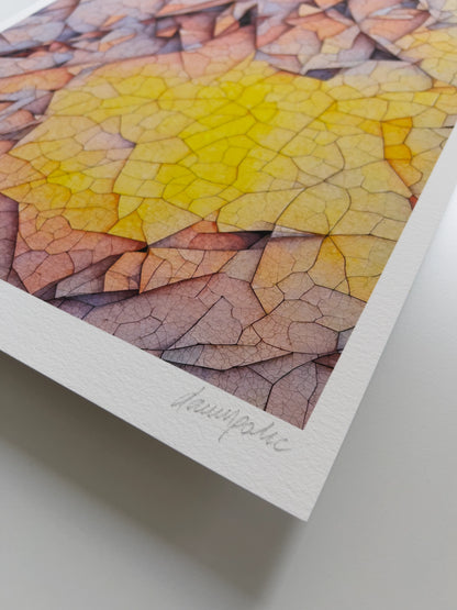 A close up detail of the artist Damir Polic's hand-signed signature in the lower right corner of the print.