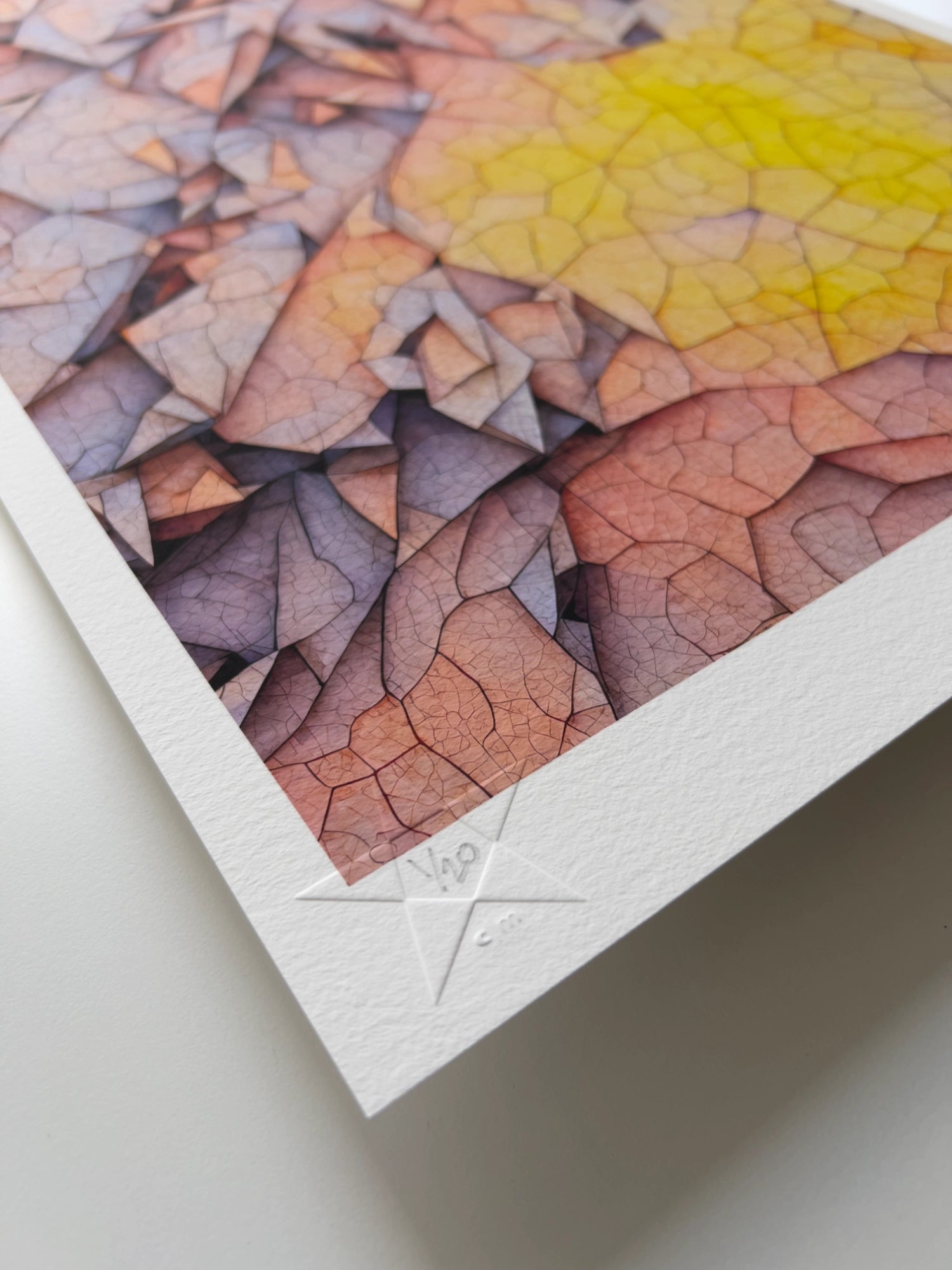 A close up detail of the hand-written limited edition number in the lower left corner of the print.