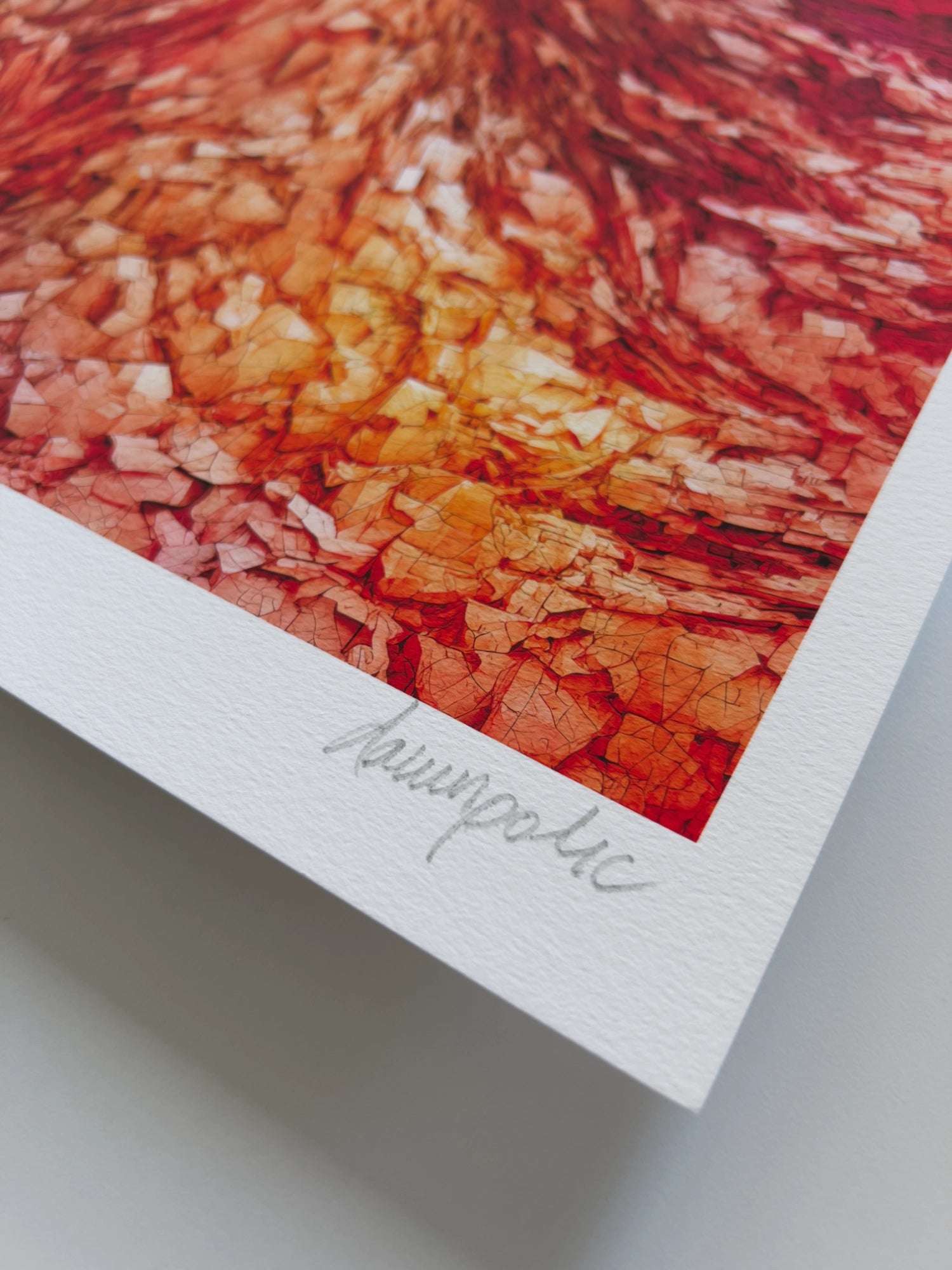 A close up detail of the artist Damir Polic's hand-signed signature in the lower right corner of the print.