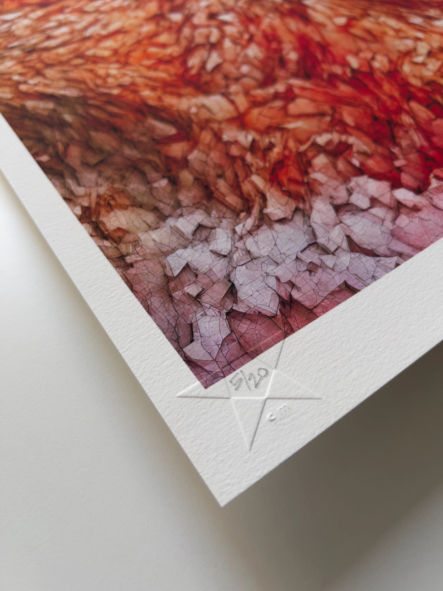 A close up detail of the hand-written limited edition number in the lower left corner of the print.